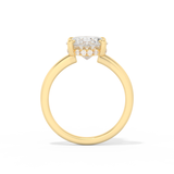 Hailey Bieber – Inspired 4.30 Carat Oval Cut Hidden Halo Moissanite