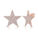 Round Cut Cubic Zirconia in 925 Sterling Silver Earrings 4