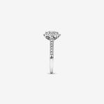 Stunning 0.73 TCW Round Moissanite Engagement Ring With Cluster Design 3