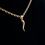 Italian Horn Pendant Silver Pendant for Him 3