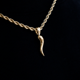 Italian Horn Pendant Silver Pendant for Him 3