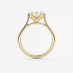 Round Cathedral Lab Grown Diamond Engagement Ring