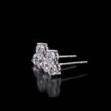 Round Cut Cubic Zirconia in 925 Sterling Silver Earrings 2
