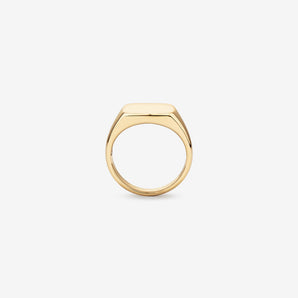 Signet Men's Wedding Band in Solid Gold