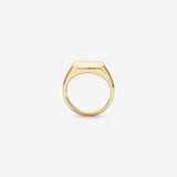 Signet Men's Wedding Band in Solid Gold 2