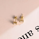 0.70 TCW Princess Cut Moissanite Stud Earrings in Gold 10