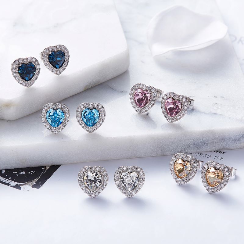 Round Cut Cubic Zirconia in 925 Sterling Silver Earrings 3