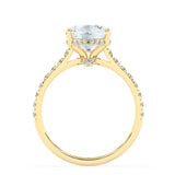 Stunning 3.0 CT Oval Moissanite Engagement Ring with Double Hidden Halo & Pave Design 4