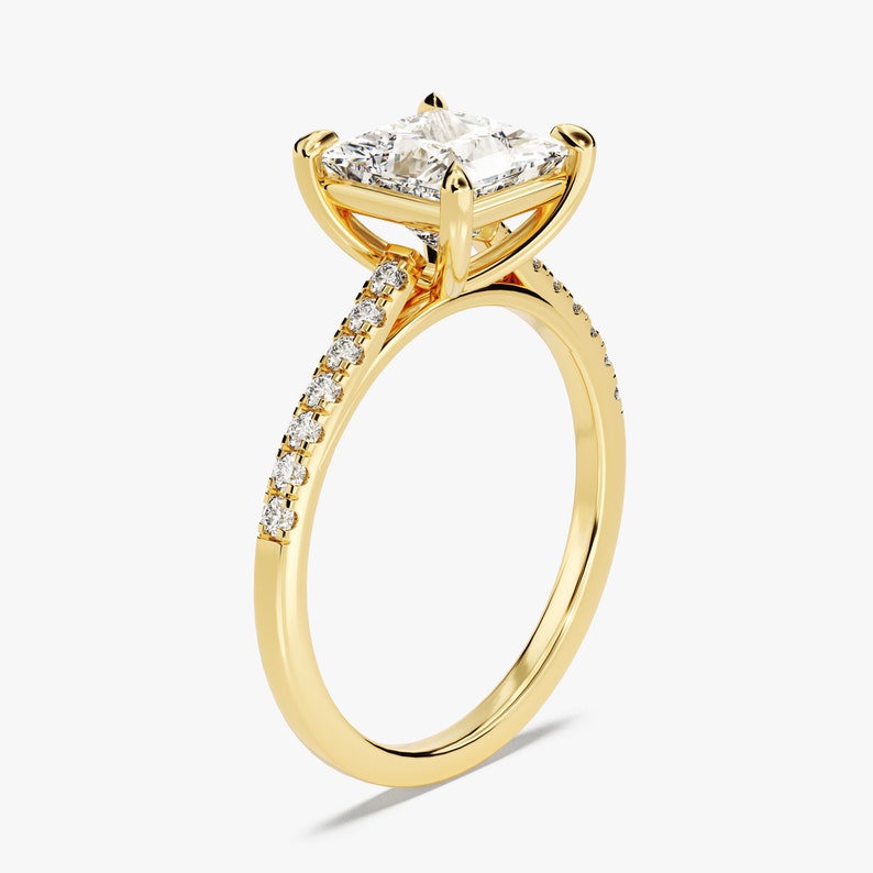 Stunning 1.0-20 CT Princess Moissanite Engagement Ring with Pave Design 3