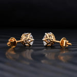 0.50 TCW Round, Pear & Emerald Cut Moissanite Drop Earrings in Gold 3