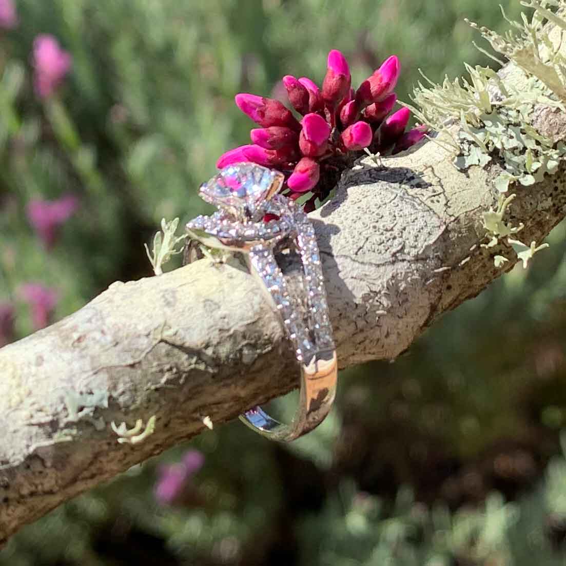 Round Cut Pave & Split Shank Style Cubic Zirconia in 925 Sterling Silver Ring 6