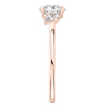 Stunning 0.50-1.50 CT Round Moissanite Engagement Ring With Cluster Design 9