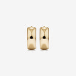 Round Cut Cubic Zirconia in 925 Sterling Silver Earrings 2