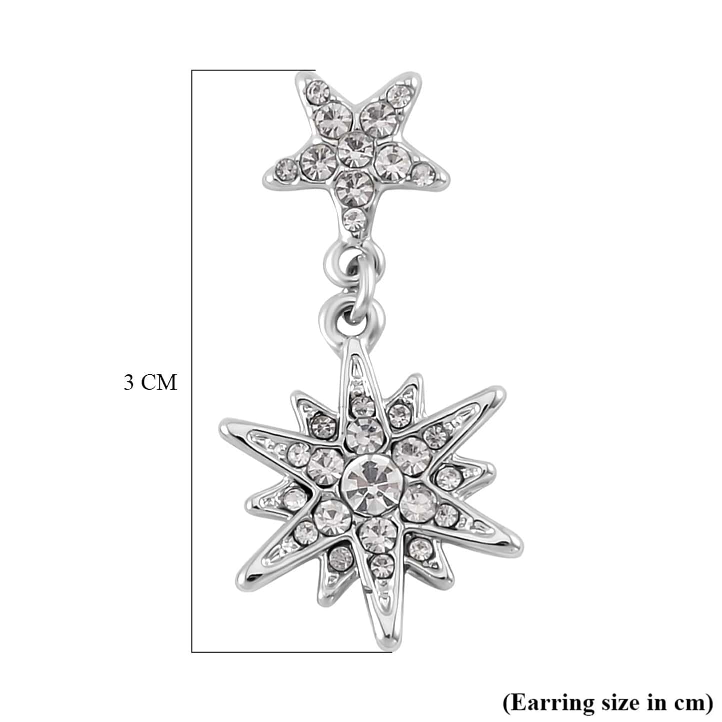 Round Cut Cubic Zirconia in 925 Sterling Silver Earrings 5