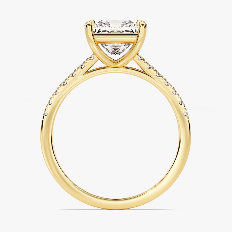 Stunning 1.0-20 CT Princess Moissanite Engagement Ring with Pave Design 2