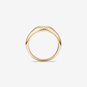 Round Signet Men's Wedding Band in Solid Gold