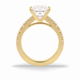 4.0 CT Princess Cut Pave Style Moissanite Engagement Rings