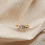 2 CT Round Halo & Pave Lab Grown Diamond Engagement Ring