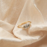 2 CT Round Halo & Pave Lab Grown Diamond Engagement Ring