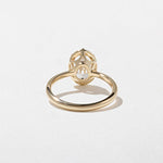 2 CT Round Halo & Pave Lab Grown Diamond Engagement Ring