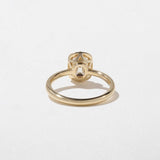 2 CT Round Halo & Pave Lab Grown Diamond Engagement Ring