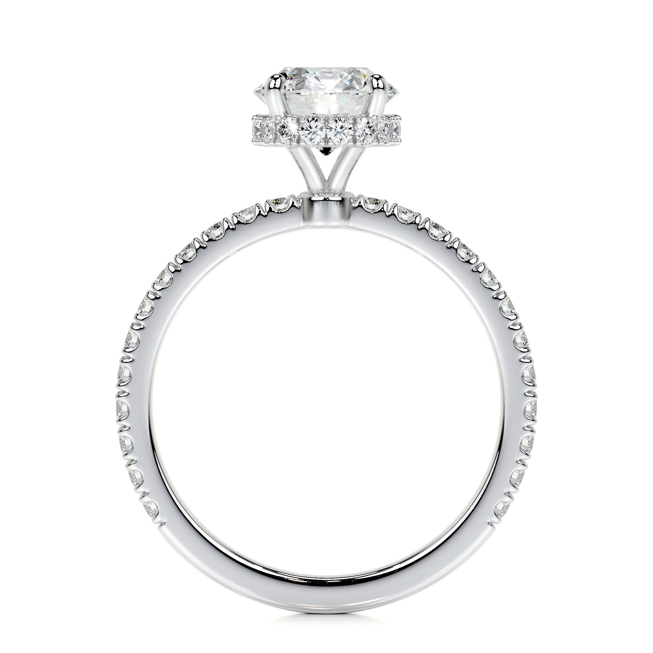 1.0 CT Round Hidden Halo CVD D/VS2 Diamond Engagement Ring 5