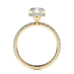 1.0 CT Round Hidden Halo CVD D/VS2 Diamond Engagement Ring 14