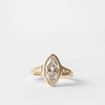 2 CT Round Halo & Pave Lab Grown Diamond Engagement Ring