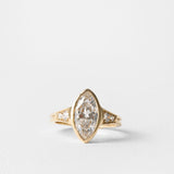 2 CT Round Halo & Pave Lab Grown Diamond Engagement Ring