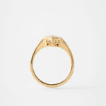 2 CT Round Halo & Pave Lab Grown Diamond Engagement Ring