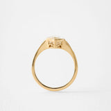 2 CT Round Halo & Pave Lab Grown Diamond Engagement Ring