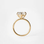 2 CT Round Halo & Pave Lab Grown Diamond Engagement Ring