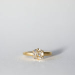 2 CT Round Halo & Pave Lab Grown Diamond Engagement Ring