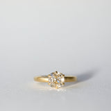 2 CT Round Halo & Pave Lab Grown Diamond Engagement Ring