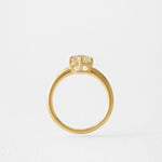 2 CT Round Halo & Pave Lab Grown Diamond Engagement Ring
