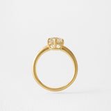 2 CT Round Halo & Pave Lab Grown Diamond Engagement Ring