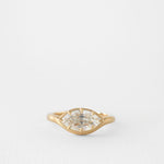 2 CT Round Halo & Pave Lab Grown Diamond Engagement Ring