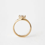 2 CT Round Halo & Pave Lab Grown Diamond Engagement Ring