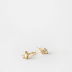2 CT Round Halo & Pave Lab Grown Diamond Earring