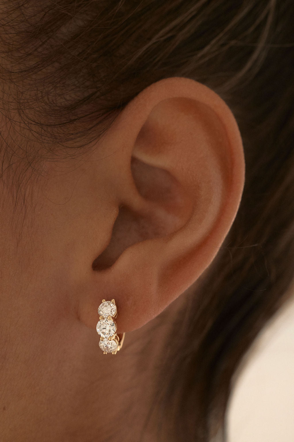 2 CT Round Halo & Pave Lab Grown Diamond Earring