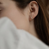 2 CT Round Halo & Pave Lab Grown Diamond Earring