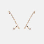 2 CT Round Halo & Pave Lab Grown Diamond Earring