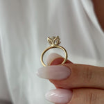 2 CT Round Halo & Pave Lab Grown Diamond Engagement Ring