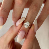 2 CT Round Halo & Pave Lab Grown Diamond Engagement Ring