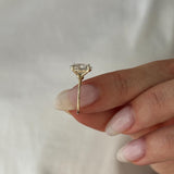 2 CT Round Halo & Pave Lab Grown Diamond Engagement Ring