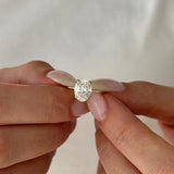 2 CT Round Halo & Pave Lab Grown Diamond Engagement Ring