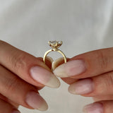 2 CT Round Halo & Pave Lab Grown Diamond Engagement Ring