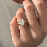 2 CT Round Halo & Pave Lab Grown Diamond Engagement Ring