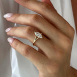 2 CT Round Halo & Pave Lab Grown Diamond Engagement Ring
