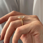 2 CT Round Halo & Pave Lab Grown Diamond Engagement Ring